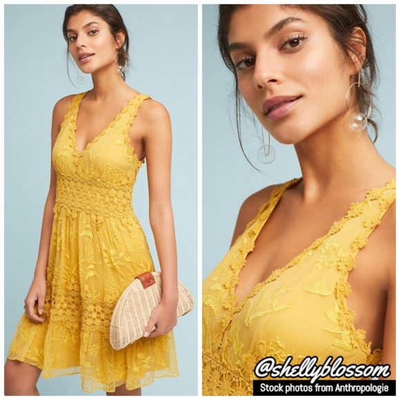 Anthropologie Dresses & Skirts - NEW Anthropologie Veronica Lace Midi Dress